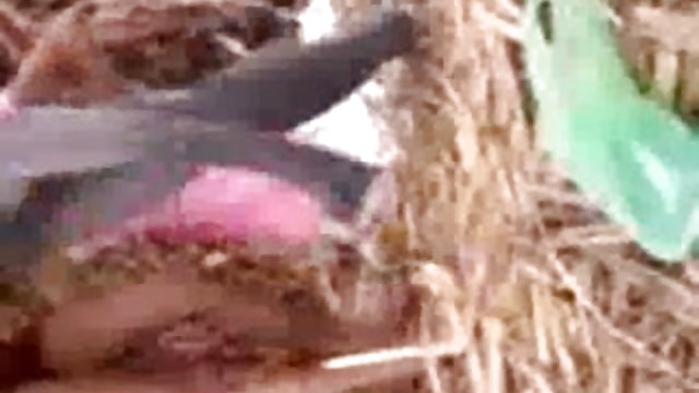 नि: शुल्क अश्लील कोई पंजीकरण  लोला सेक्सी हिंदी मूवी पिक्चर फॉक्स