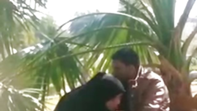 नि: शुल्क अश्लील कोई पंजीकरण  ड्रिल बीएफ सेक्सी पिक्चर हिंदी मूवी गधा